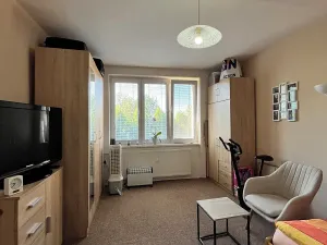 Pronájem bytu 3+1, Bučovice, U Škol, 73 m2