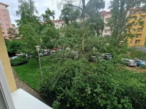 Prodej bytu 2+1, Brno, Úvoz, 53 m2