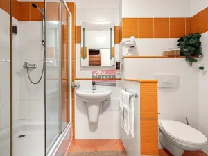 Prodej bytu 1+kk, Frymburk, 31 m2