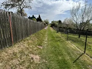 Prodej zahrady, Meziměstí, 497 m2