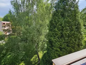 Pronájem bytu 2+1, Ostrava - Poruba, 1. československého armádního sboru, 58 m2