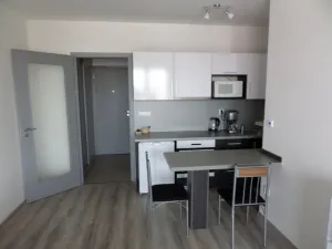 Pronájem bytu 1+kk, Chrudim - Chrudim II, Na Kopanici, 29 m2