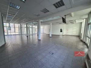 Pronájem komerční nemovitosti, Světlá nad Sázavou, Lánecká, 250 m2