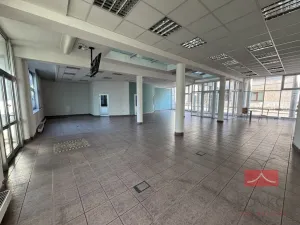 Pronájem komerční nemovitosti, Světlá nad Sázavou, Lánecká, 250 m2