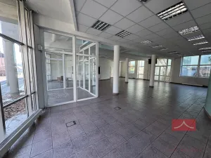 Pronájem komerční nemovitosti, Světlá nad Sázavou, Lánecká, 250 m2
