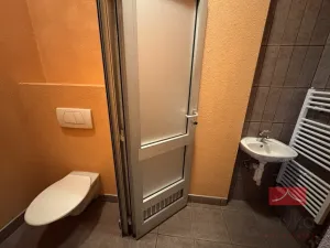 Pronájem komerční nemovitosti, Světlá nad Sázavou, Lánecká, 250 m2