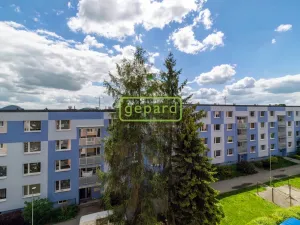 Prodej bytu 1+1, Nový Bor, Palackého, 35 m2