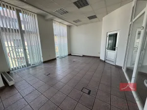 Pronájem komerční nemovitosti, Světlá nad Sázavou, Lánecká, 250 m2