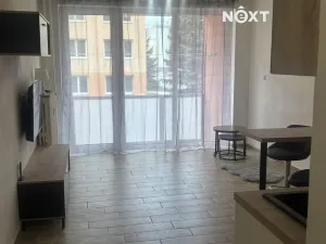 Pronájem bytu 1+kk, Nová Včelnice, Na Hliněnce, 27 m2