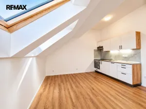 Pronájem bytu 1+kk, Praha - Břevnov, Radimova, 28 m2