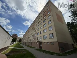 Prodej bytu 3+1, Most, Jiřího Wolkera, 67 m2