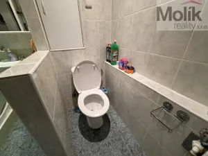 Prodej bytu 3+1, Most, Jiřího Wolkera, 67 m2