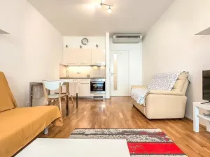 Pronájem bytu 1+kk, Praha - Žižkov, Havlíčkovo náměstí, 29 m2