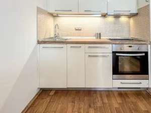 Pronájem bytu 1+kk, Praha - Žižkov, Havlíčkovo náměstí, 29 m2
