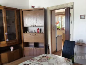 Prodej vícegeneračního domu, Vyškov - Dědice, Revoluční, 285 m2