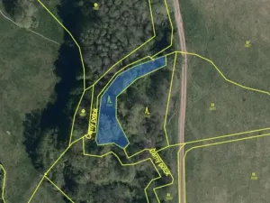 Prodej lesa, Hřivínův Újezd, 3320 m2