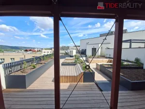 Pronájem bytu 1+kk, Praha, Kolmanova, 40 m2