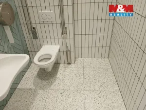 Prodej obchodního prostoru, Opava - Město, Masarykova třída, 40 m2