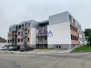 Pronájem bytu 1+kk, Rohatec, Moravní, 40 m2