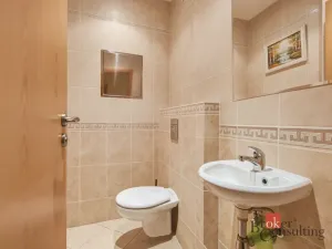 Pronájem bytu 4+kk, Praha - Horní Měcholupy, R.A. Dvorského, 116 m2