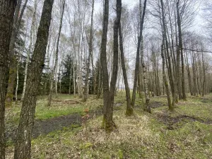 Prodej pozemku, Volfířov - Brandlín, 5958 m2