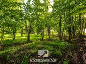 Prodej pozemku pro bydlení, Pertoltice, 458 m2
