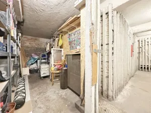 Prodej bytu 3+kk, Praha - Žižkov, Křížkovského, 78 m2