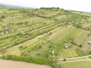 Prodej sadu/vinice, Strážnice, 5457 m2