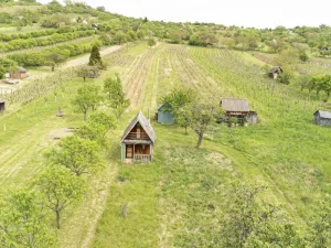 Prodej sadu/vinice, Strážnice, 5457 m2