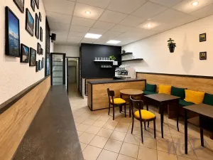 Prodej obchodního prostoru, Třebíč, Hasskova, 258 m2