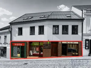 Prodej obchodního prostoru, Třebíč, Hasskova, 258 m2