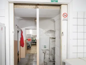 Prodej apartmánu, Doksy, Komenského, 426 m2