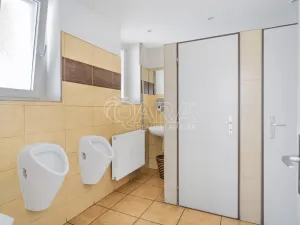 Prodej apartmánu, Doksy, Komenského, 426 m2