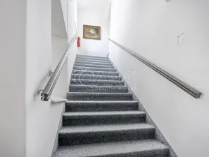 Prodej apartmánu, Doksy, Komenského, 426 m2