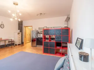 Pronájem bytu 1+kk, Praha - Černý Most, Dobrovolného, 35 m2