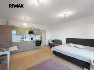 Pronájem bytu 1+kk, Praha - Žižkov, Olšanská, 37 m2