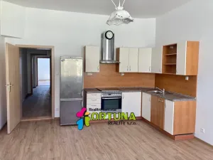 Pronájem bytu 2+kk, České Budějovice, Dr. Stejskala, 47 m2