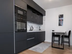 Prodej bytu 2+kk, Praha - Žižkov, Krásova, 41 m2