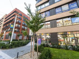 Prodej bytu 1+kk, Praha - Žižkov, Krásova, 41 m2