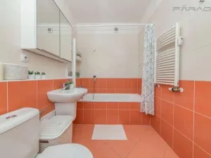 Pronájem bytu 2+kk, Praha - Vysočany, Pod Harfou, 54 m2