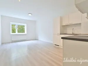 Pronájem bytu 2+kk, Brno, Kamínky, 55 m2