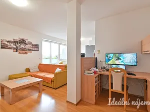 Pronájem bytu 3+kk, Brno, Říčanská, 81 m2
