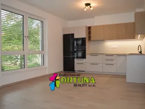 Pronájem bytu 3+kk, České Budějovice - České Budějovice 3, Hálkova, 54 m2