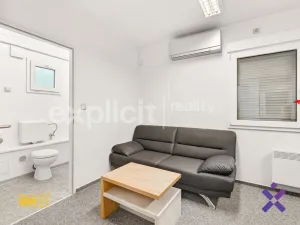 Prodej obchodního prostoru, Biskupice, 83 m2