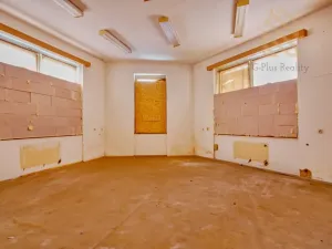 Prodej obchodního prostoru, Děčín - Děčín VI-Letná, Dělnická, 203 m2