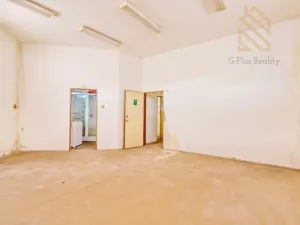 Prodej obchodního prostoru, Děčín - Děčín VI-Letná, Dělnická, 203 m2