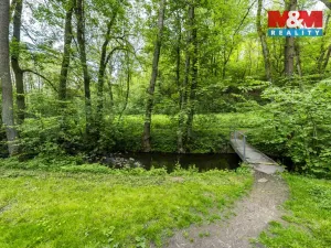 Prodej lesa, Červené Pečky - Bohouňovice I, 491 m2