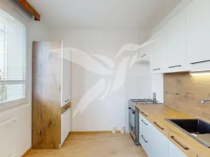 Pronájem bytu 3+1, Plzeň, Manětínská, 71 m2