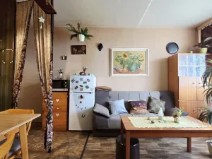 Prodej bytu 2+kk, Hořice, Pod Lipou, 43 m2