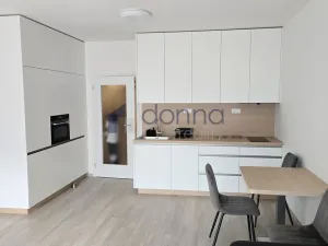 Pronájem bytu 1+kk, Praha, Gerstelova, 35 m2